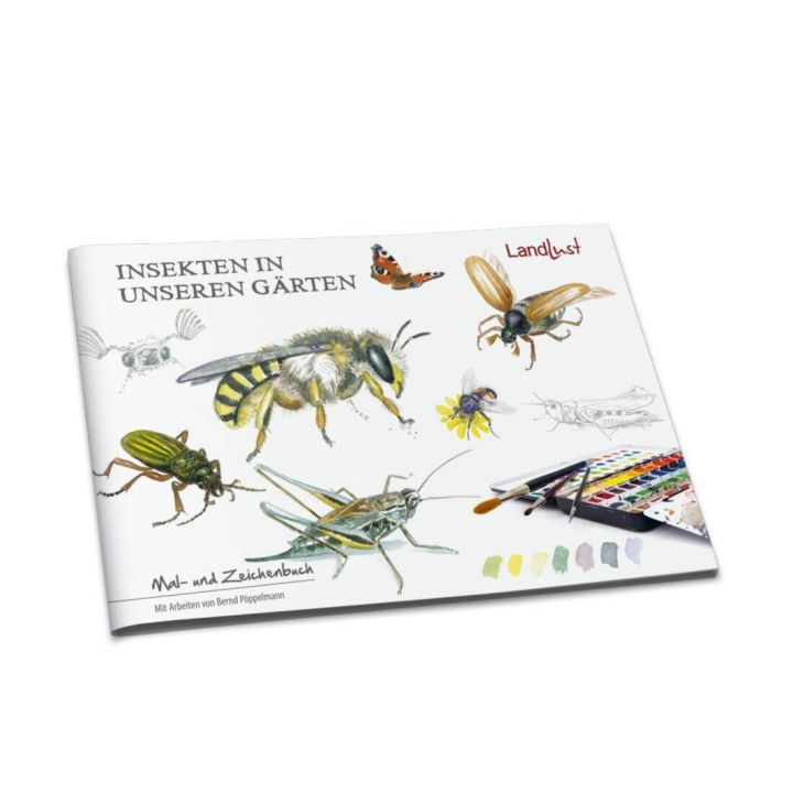 Mal- und Zeichenbuch "Insekten in unseren G&auml;rten"
