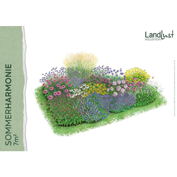 Staudenpaket &bdquo;Sommerharmonie 7qm"
