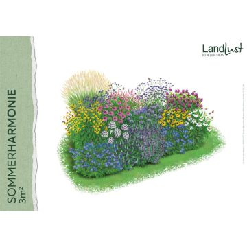 Bunte Blumenwiese mit verschiedenen Blumenarten in leuchtenden Farben, darunter Gelb, Rosa, Violett und Blau, auf einer Fläche von drei Quadratmetern. Links auch Schriftzug SOMMERHARMONIE 3 m², oben rechts Landlust Kollektion.