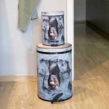 Treteimer Eichhörnchen