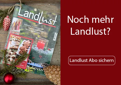 Zeitschrift Landlust mit Adventsausgabe und Plätzchenrezeptheft in einem Holztablett, umgeben von Tannenzweigen. Bild verlinkt zum Abonnement.