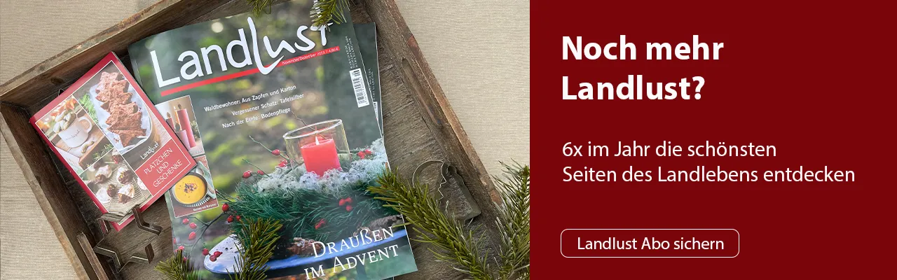 Zeitschrift Landlust mit Adventsausgabe und Plätzchenrezeptheft in einem Holztablett, umgeben von Tannenzweigen. Bild verlinkt zum Abonnement.
