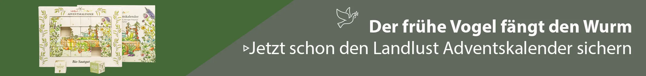 Adventskalender sichern