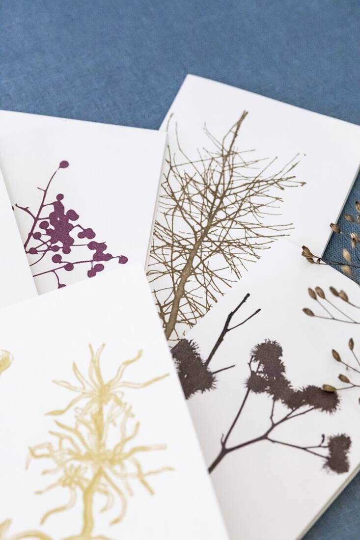 Weiße Karten mit gedruckten Pflanzenmotiven in verschiedenen Farben, darunter Lila, Gold und Schwarz, liegen auf einer blauen Oberfläche. Die Pflanzen zeigen Zweige und Blätter in detailreicher Darstellung. Bild verlinkt zum Produkt