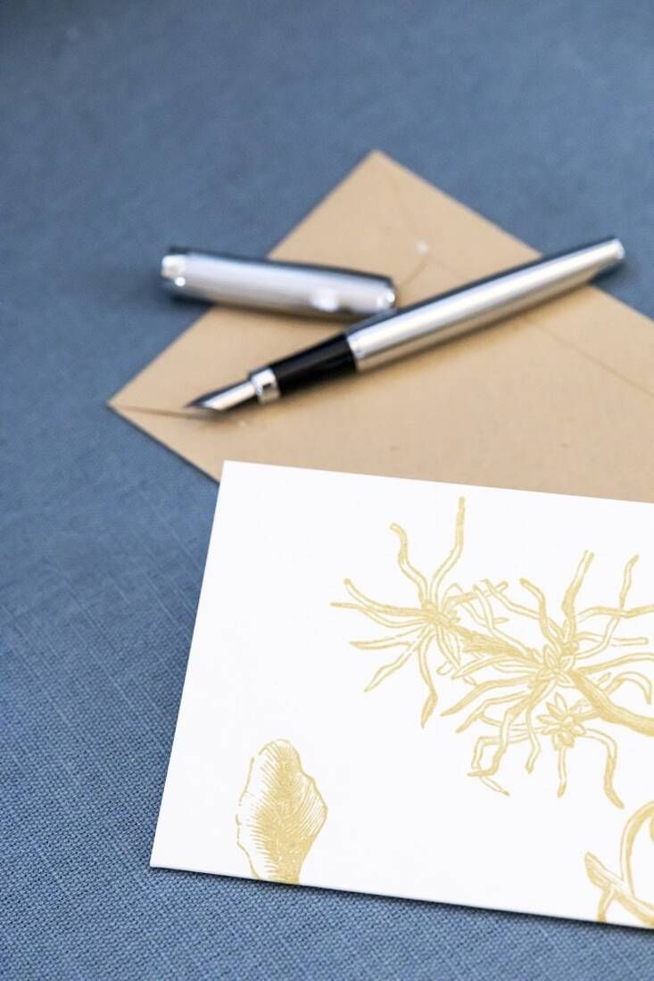 Ein geöffneter Füllfederhalter liegt auf einer hellbraunen, ungeöffneten Umschlagkarte. Daneben befindet sich eine weiße Karte mit einem gelben floralen Druck. Der Hintergrund ist blau. Bild verlinkt zum Produkt
