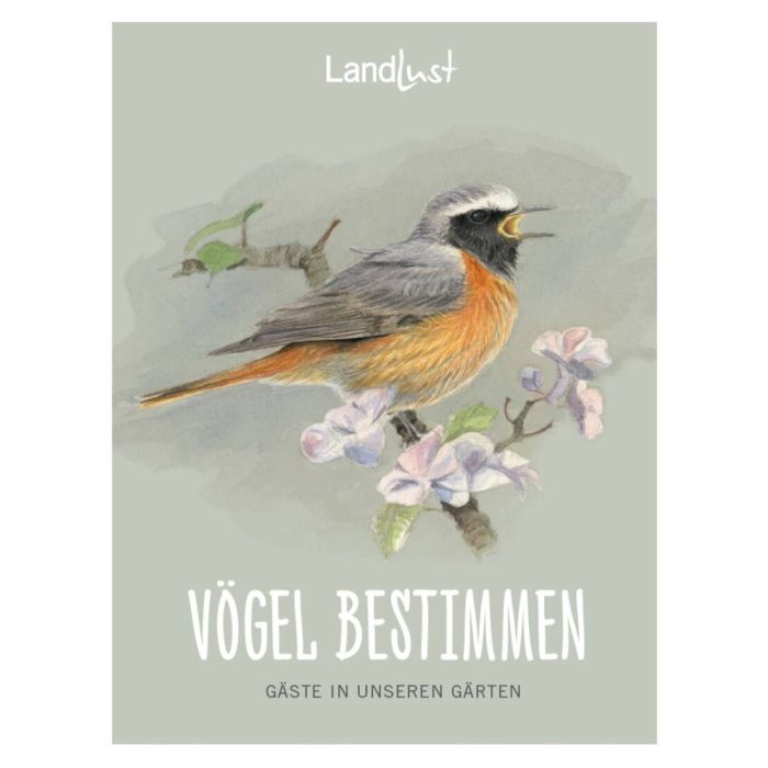 Zeichnung eines Vogels mit orangefarbenem Bauch und grauem Kopf, der auf einem Ast sitzt, umgeben von blühenden Zweigen. Oben steht der Schriftzug „Landlust“. Unterhalb der Zeichnung befinden sich die Wörter „Vögel bestimmen“ . Bild verlinkt zum Produkt