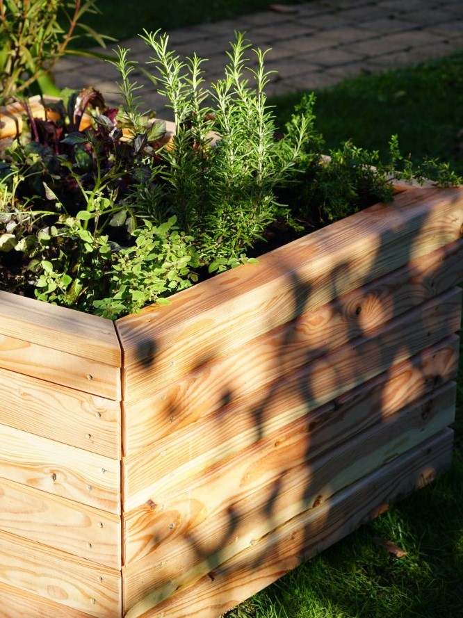 Holz-Hochbeet auf einer Rasenfläche, gefüllt mit Kräutern wie Rosmarin und anderen Pflanzen. Sonnenlicht erzeugt Schattenmuster auf der Holzoberfläche. Im Hintergrund ist ein gepflasterter Weg sichtbar. Bild verlinkt zum Produkt