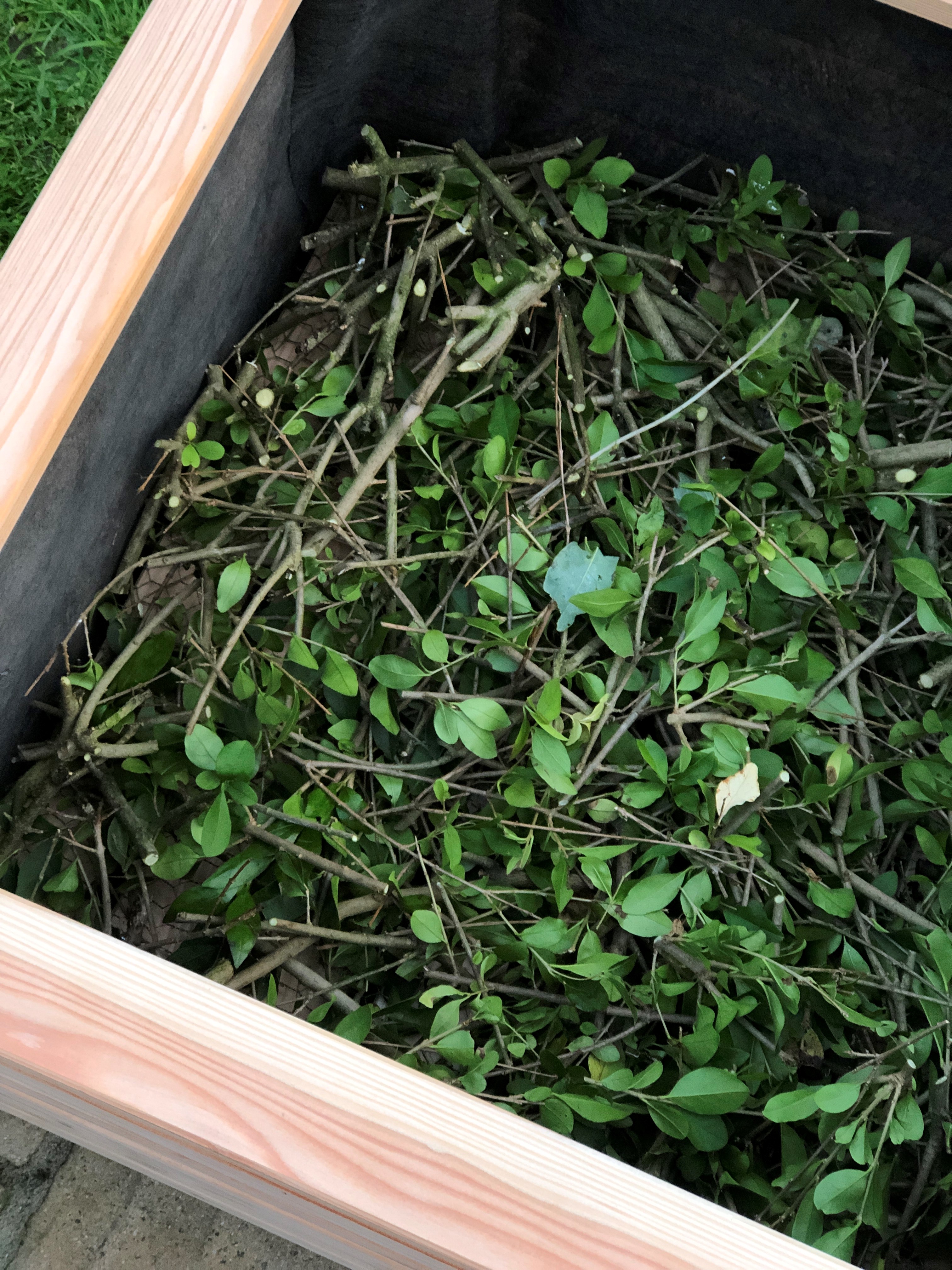 Holzrahmen gefüllt mit grünem Pflanzenmaterial und kleinen Zweigen, auf einem gepflasterten Untergrund platziert. Bild verlinkt zum Produkt