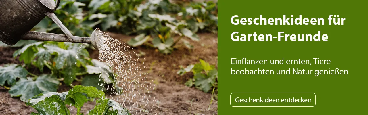 Eine Gießkanne bewässert grüne Pflanzen in einem Gartenbeet. Rechts steht ein grünes Banner mit der Aufschrift „Geschenkideen für Garten-Freunde“, darunter „Einpflanzen und ernten, Tiere beobachten und Natur genießen“. Bild verlinkt zur Seite.