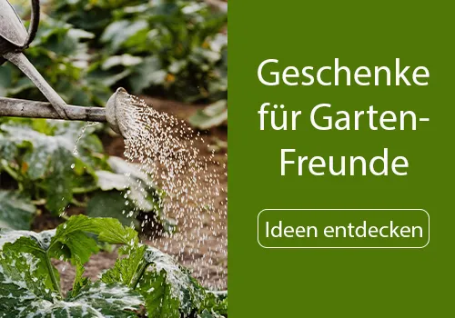 Eine Gießkanne bewässert grüne Pflanzen in einem Gartenbeet. Rechts steht ein grünes Banner mit der Aufschrift „Geschenkideen für Garten-Freunde“, darunter „Einpflanzen und ernten, Tiere beobachten und Natur genießen“. Bild verlinkt zur Seite.