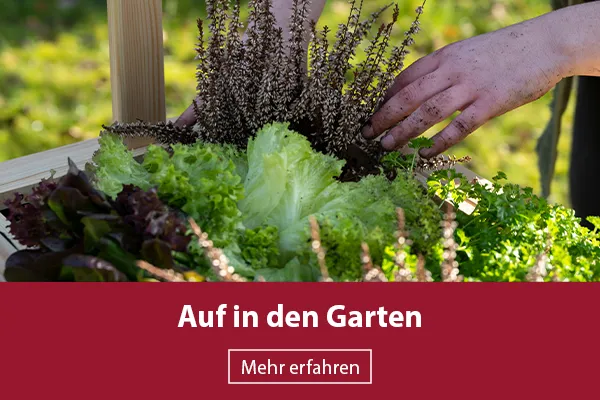 Auf in den Garten
