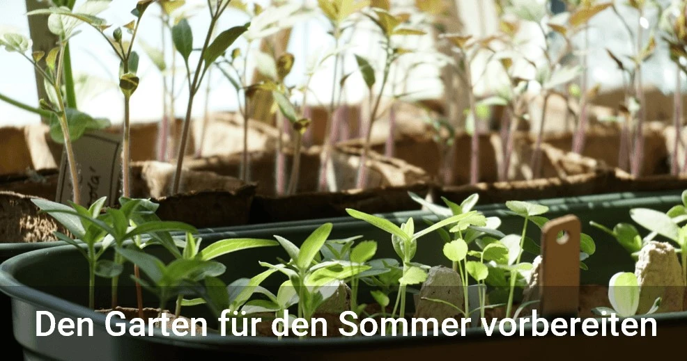 Den Garten für den Sommer vorbereiten