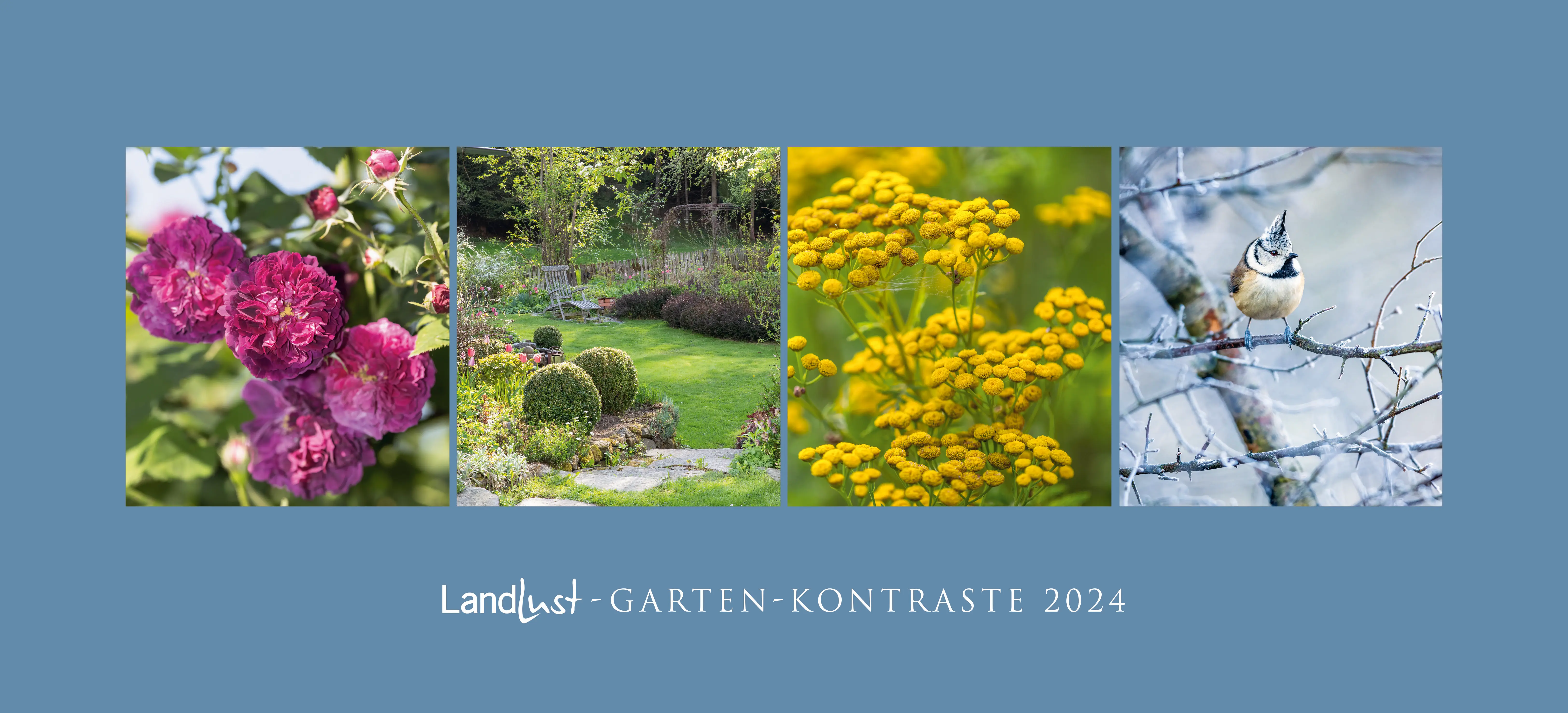 Garten-Kontraste 2024