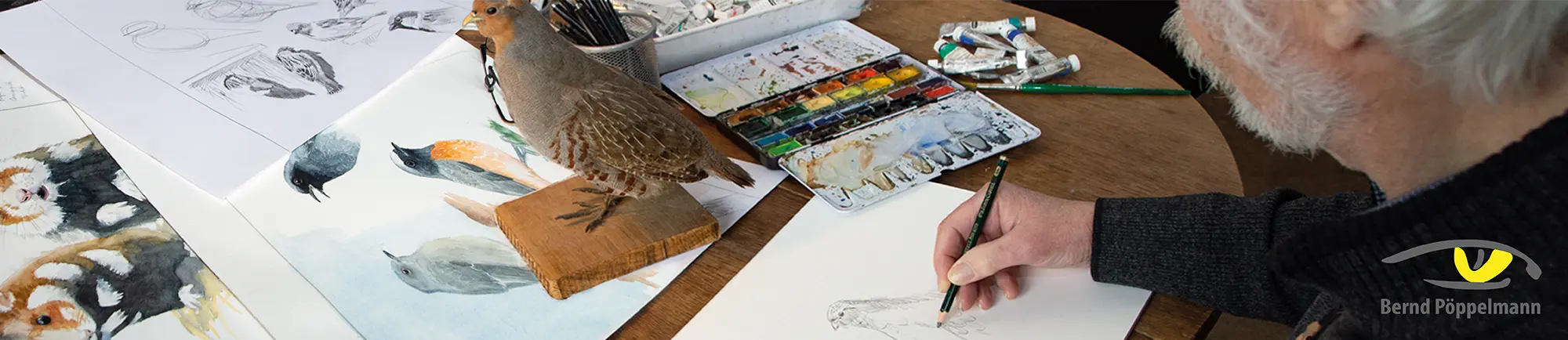 Header: Man sieht einen Mann, der ein Bild von einen ausgestopftem Vogel, der Vor ihm steht, auf dem Tisch liegen noch weitere gezeichnete Bilder.