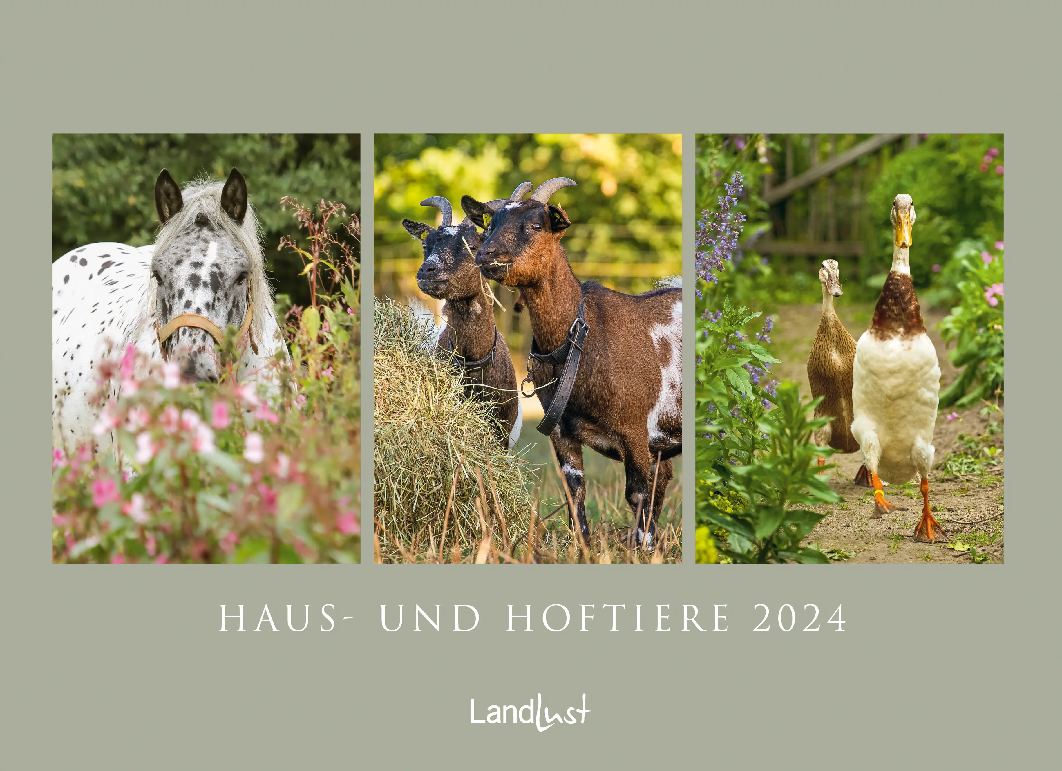 Haus- und Hoftiere 2024