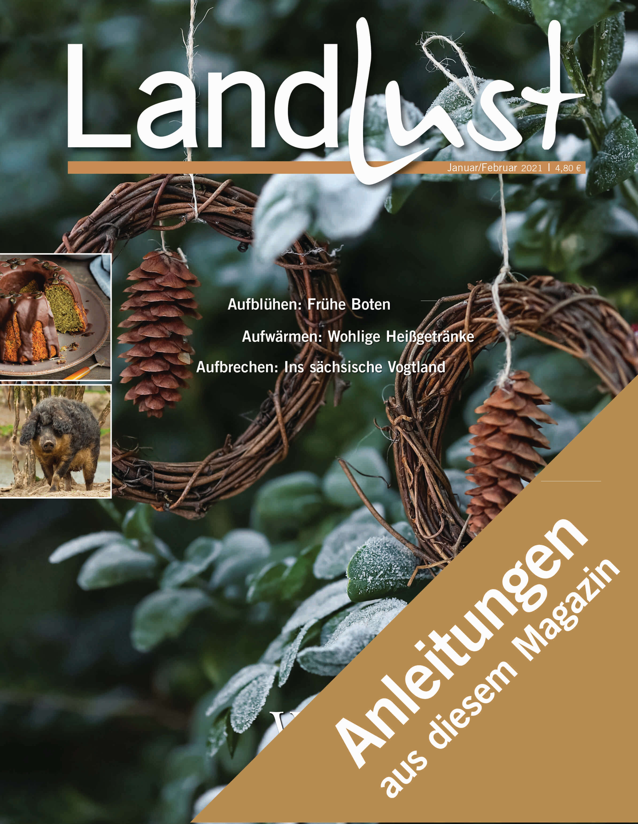 Anleitungen Januar und Februar 2021