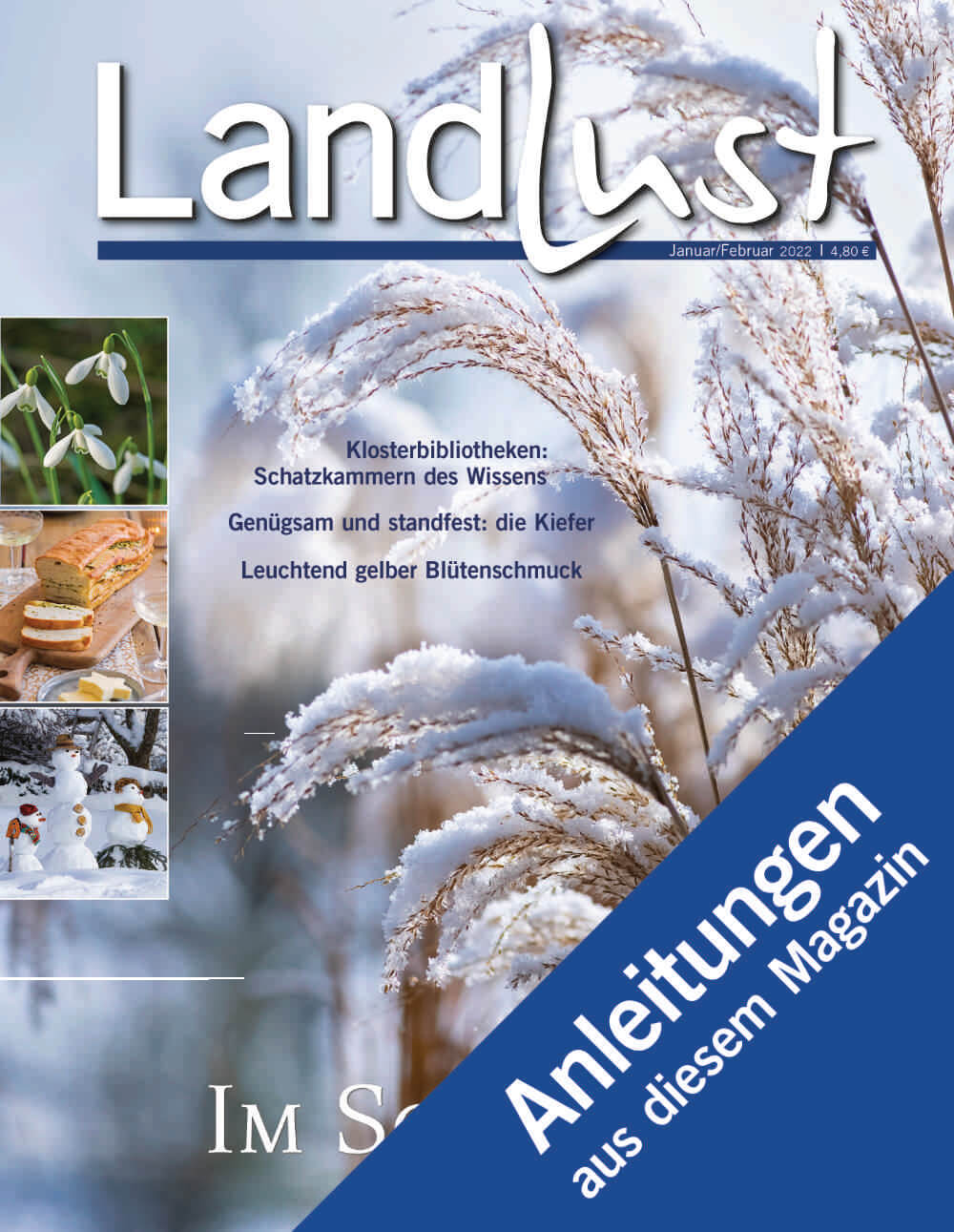 Anleitungen Januar und Februar 2022