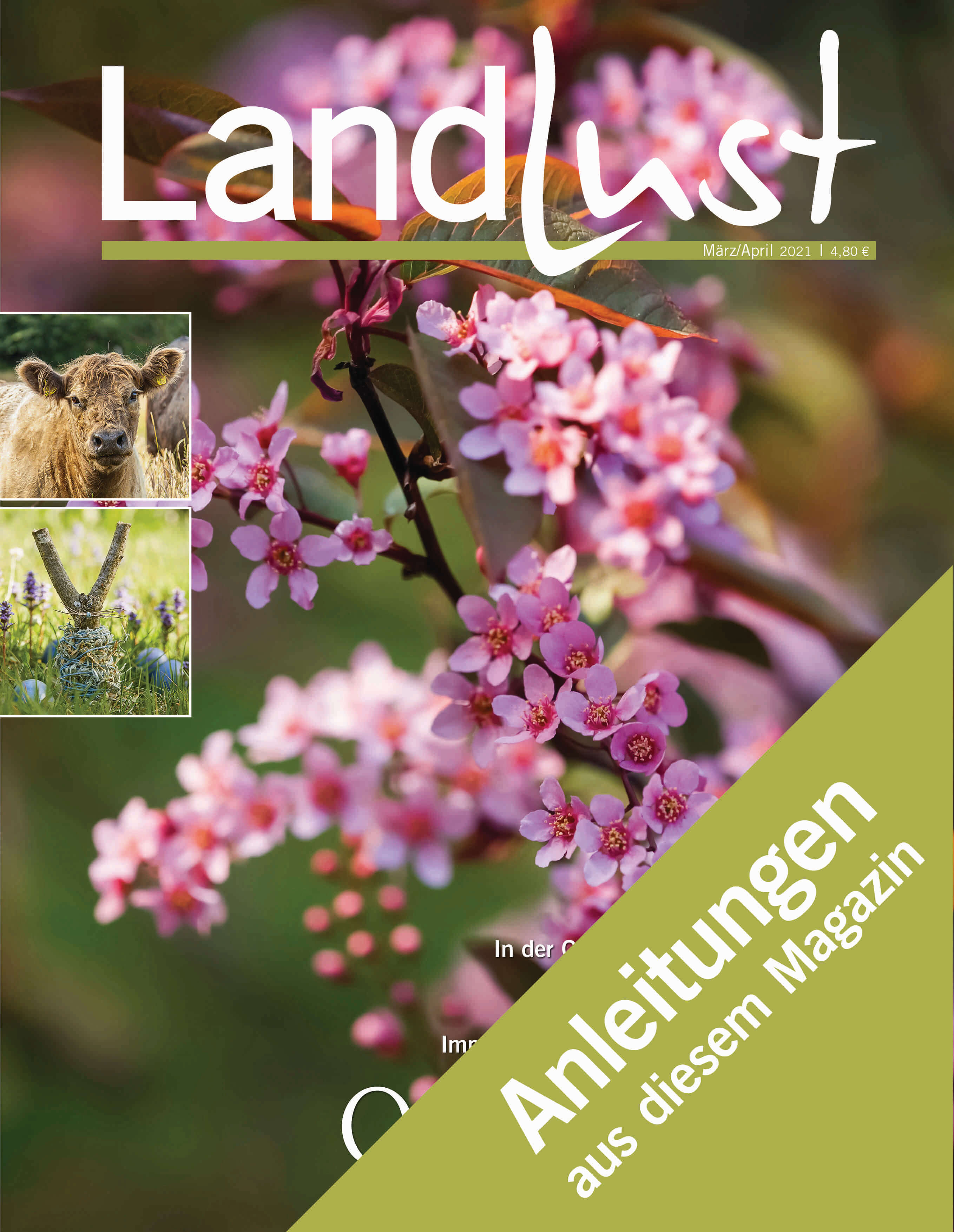 Anleitungen März und April 2021
