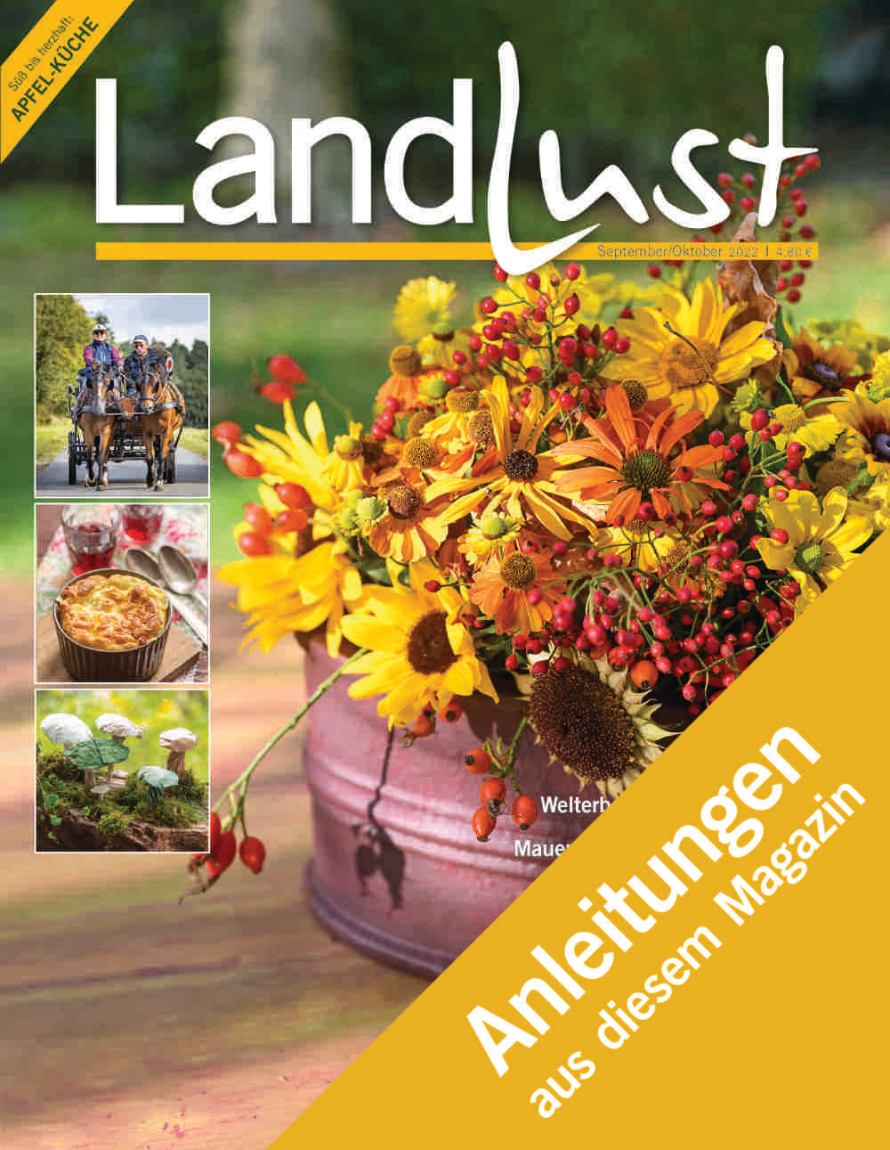 Anleitungen September und Oktober 2022