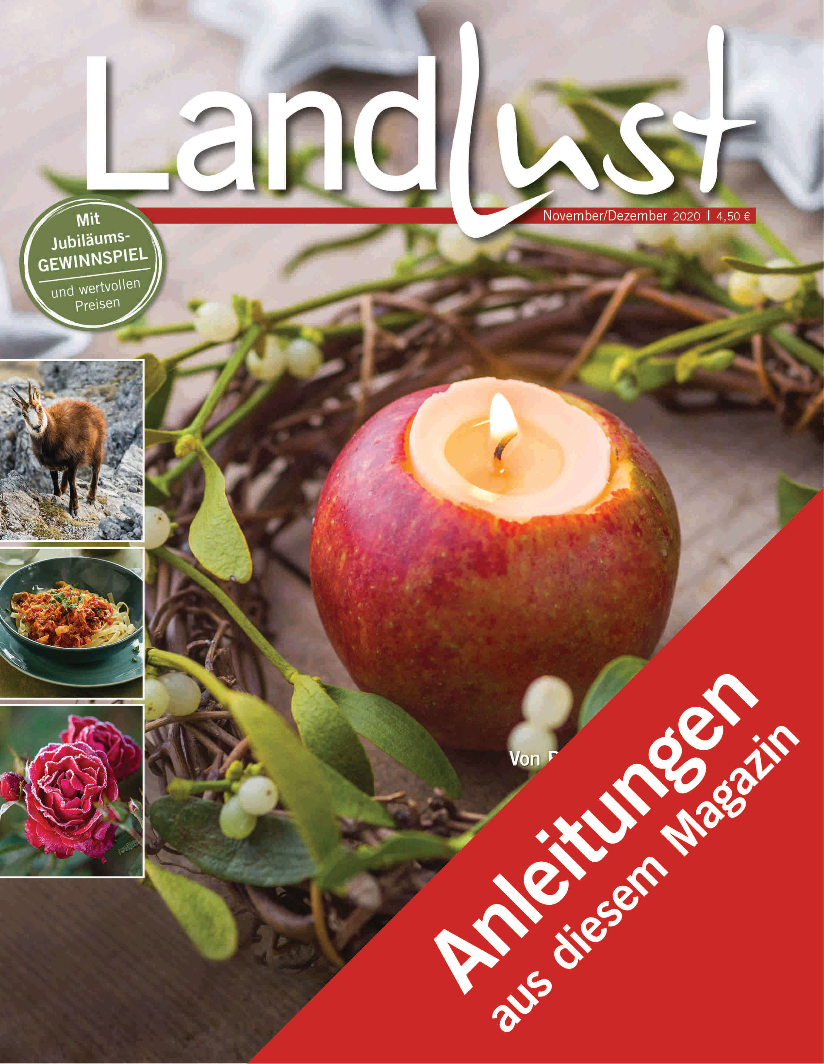 Anleitungen Novembr und Dezember 2020