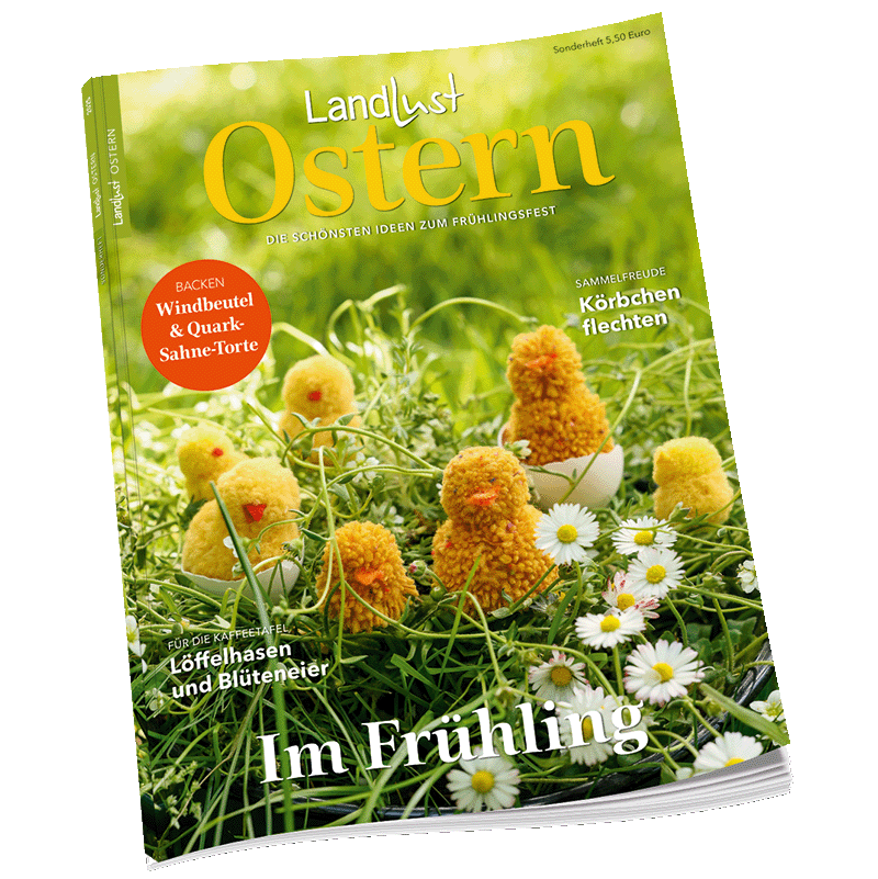 Ein Magazin mit dem Titel "Landlust Ostern" zeigt auf dem Cover eine Szene mit gelben, flauschigen Küken-Puppen im Gras neben Gänseblümchen. Themenhinweise sind Kochen und Basteln zu Ostern. Bild verlinkt zum Produkt.