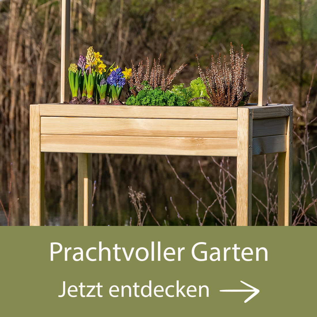 Holzgartenbank mit blühenden Frühlingsblumen, darunter Narzissen und Heidekraut, vor natürlichem Hintergrund. Text darunter: Prachtvoller Garten. Jetzt entdecken. Bild verlinkt zur Landingpage.