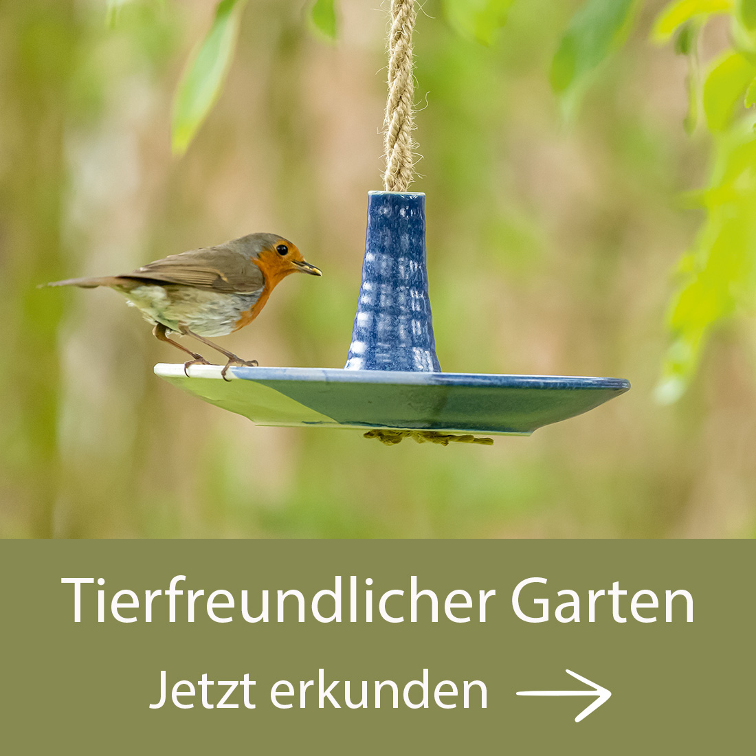 Ein Rotkehlchen sitzt auf einer blauen Vogeltränke, die an einem Seil hängt, vor unscharfem grünem Hintergrund. Darunter Text: Tierfreundlicher Garten. Jetzt erkunden. Ein Pfeil weist nach rechts. Bild verlinkt zur Landingpage.