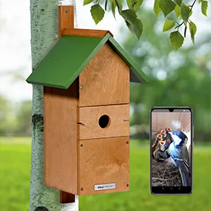 Ein hölzernes Vogelhaus mit grünem Dach hängt an einem Baum. Daneben ist ein Smartphone abgebildet, das ein Bild von Vögeln im Inneren des Nistkastens zeigt. Bild verlinkt zum Produkt.