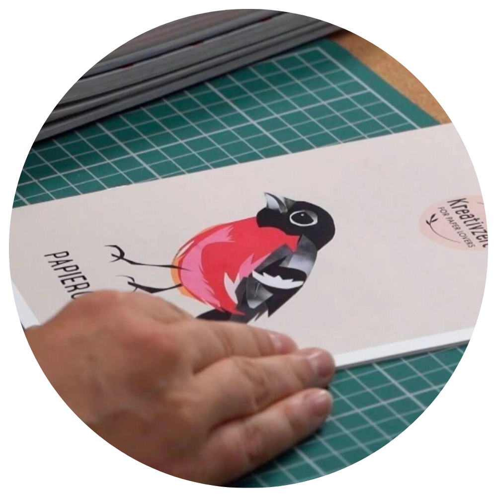Hand legt ein Blatt mit einem illustrierten Vogelmotiv auf einen grünen Schneidetisch, daneben liegen weitere Papierstapel. Bild verlinkt zum Webinar.