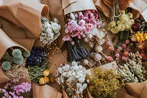 Ein Arrangement mehrerer Trockenblumensträuße, die teils in braunes Packpapier gewickelt sind. Die Sträuße zeigen eine Vielfalt an Blumenarten und Farben, darunter helle und pastellige Töne wie Rosa, Gelb, Weiß und Lila. Bild verlinkt zum Produkt