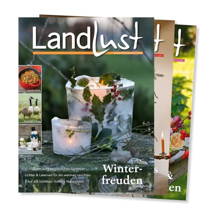Zeitschriftenstapel von „Landlust“. Vorderes Cover zeigt eine winterliche Szene mit gefrorenen Kerzenhaltern und Tannengrün. Text: „Winterfreuden“ und Themen wie „Lichter & Laternen“. Andere Magazine im Hintergrund. Bild verlinkt zur Bestellseite.