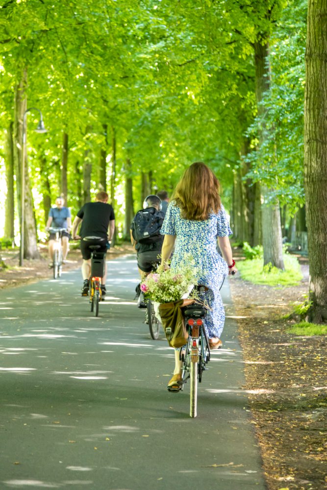 Ein asphaltierter Fahrradweg, gesäumt von grünen Bäumen, auf dem mehrere Personen mit Fahrrädern fahren. Eine Frau in einem blauen Kleid fährt im Vordergrund, Blumen im Fahrradkorb. Im Hintergrund sind weitere Radfahrer zu sehen.