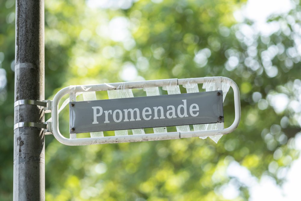 Ein verwaschenes Straßenschild aus Metall mit der Aufschrift "Promenade" vor einem unscharfen, grünen Hintergrund, bestehend aus Baumblättern.