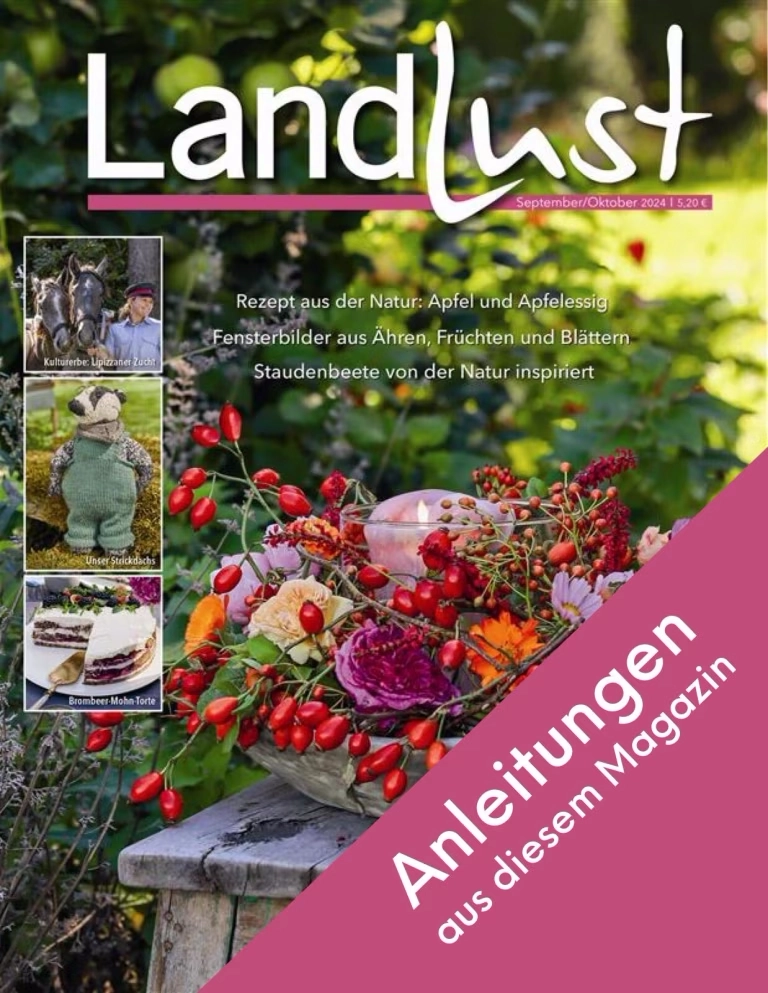 Titelblatt der Zeitschrift Landlust mit Naturmotiven. Vordergrund Blumen- und Fruchtarrangement. Seitlich kleiner Bilderstreifen mit Pferd, gestricktem Pullover und gedecktem Tisch. Aufschrift über pinkem Band Anleitungen. Bild verlinkt zur Anleitung.