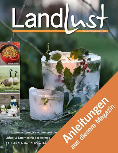 Zeitschriftencover mit Landlust-Titel, zeigt zwei gefrorene Kerzenhalter mit Zweigen und Beeren. Links Vorschau weiterer Bilder Auflauf, Stoffgans vor Kürbissen. Orangefarbener Streifen mit Text Anleitungen aus diesem Magazin. Bild verlinkt zur Anleitung.