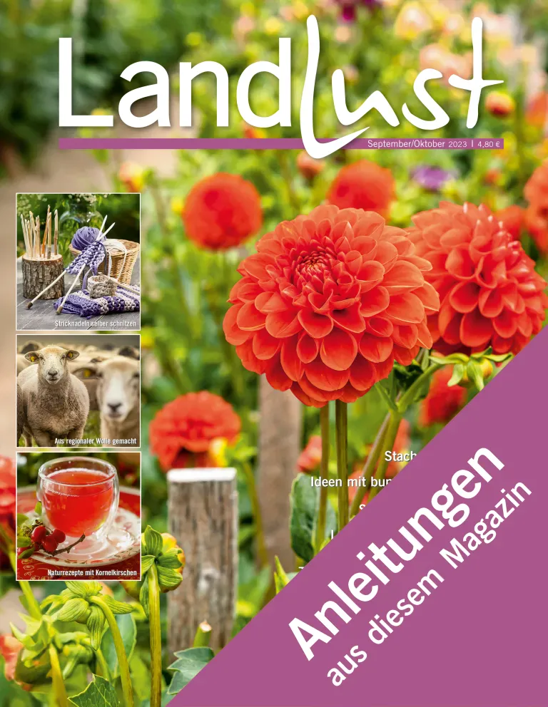Titelbild eines Magazins mit roten Dahlien im Vordergrund. Oben links vier kleine Bilder: Nadeln mit Garn, Schafe, Getränk, Blumen. Lila Banner mit Text Anleitungen aus diesem Magazin. Bild verlinkt zur Anleitung.
