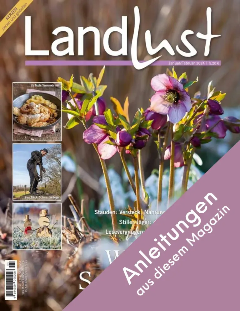 Cover des Magazins "Landlust" mit Frühlingsblumen im Vordergrund. Kleine Bilder zeigen Gebäck, einen Mann draußen und eine Gruppe beim Picknick. Textbanner: Anleitungen aus diesem Magazin. Bild verlinkt zur Anleitung.