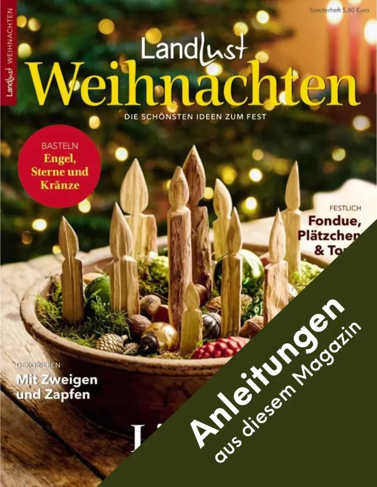 Titelbild des Magazins "Landlust Weihnachten" zeigt eine weihnachtliche Dekoration aus Holzstäben, Moos, und Beeren auf einem Tisch, umgeben von verschwommener Weihnachtsbeleuchtung. Bild verlinkt zur Anleitung.