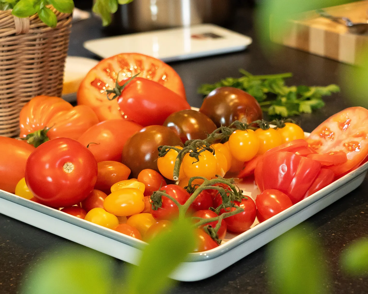 Verschiedene Tomatensorten, einschließlich ganzer und geschnittener Tomaten, liegen auf einem weißen Tablett. Daneben steht ein Korb mit frischen Basilikumblättern auf einer dunklen Arbeitsfläche.